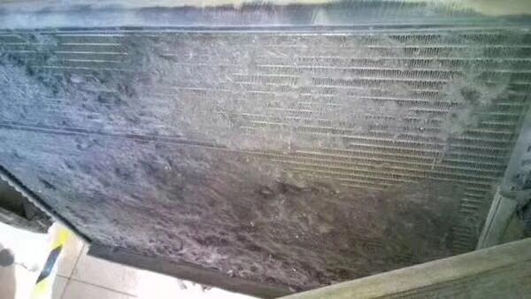 微信圖片_20190530150534.jpg 微信圖片_20190530150534.jpg